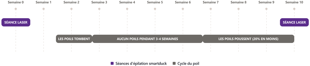 Frise chronologique du cycle du poil sur 10 semaines. Une séance de laser smartduck a lieu en semaine 0 et la suivante en semaine 10. Semaine 2 : les poils tombent. Semaines 3 à 6 : aucun poil pendant 3 à 4 semaines. Semaines 7 à 10 : les poils repoussent, avec 20 % de poils en moins. Chaque séance élimine environ 20 % des poils actifs ; 6 à 10 séances sont nécessaires selon les cas.